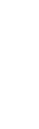 日本料理　あめ婦